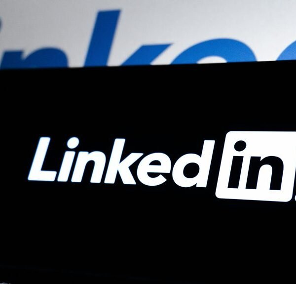 creative digital network platform